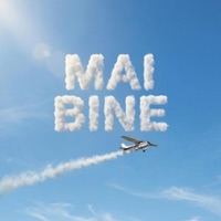 Mai Bine (feat. Jean De La Craiova & Laura) - Single - Asu