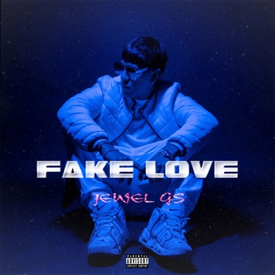 Fake Love - Single