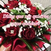 Dime que me quieres y me quedare (Tezzaprod) - Single - Santos325