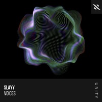 Voices - Single - Slayy