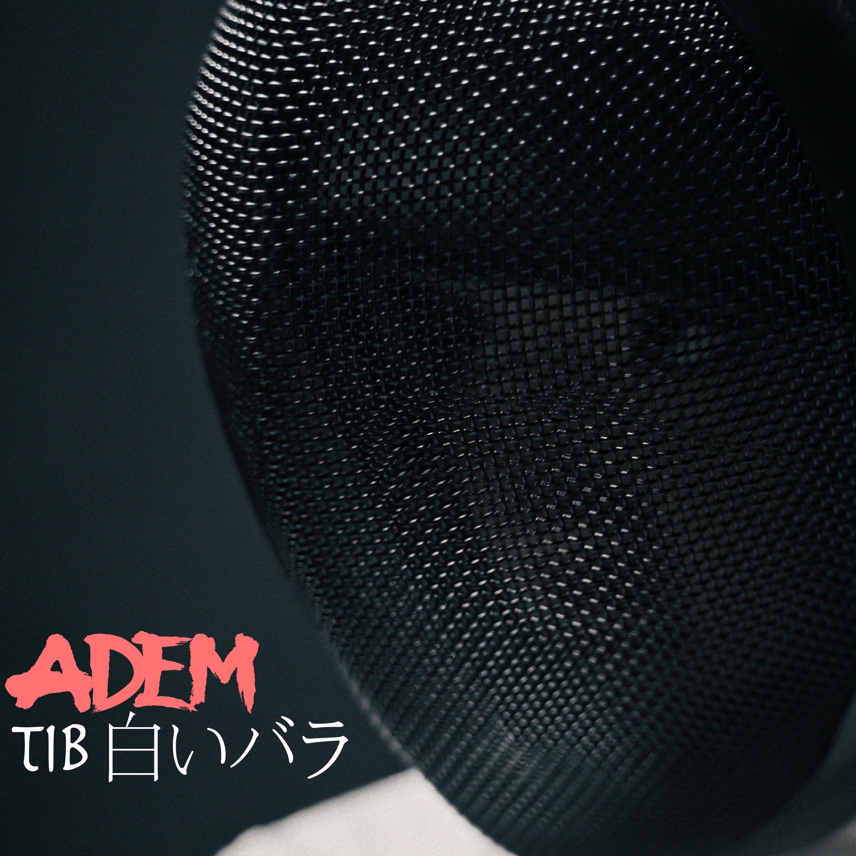 ADEM - TIB
