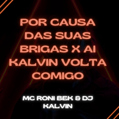 POR CAUSA DAS SUAS BRIGAS X AI KALVIN VOLTA COMIGO - Single