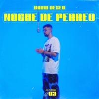 Noche de Perreo - Single - David Deseo