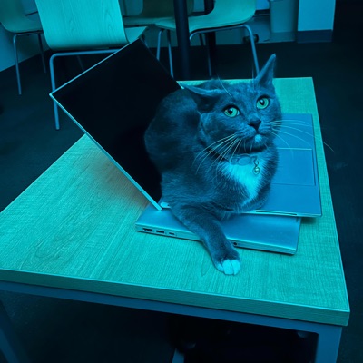 Add it Up (feat. Ferrero) - Single