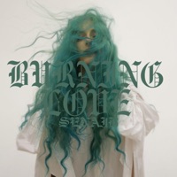 BURNING LOVE - EP - SenaiB