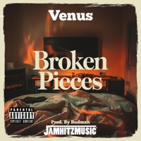 Broken Pieces (feat. Venus) - Single - Jamhitzmusic