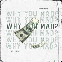 Why You Mad? - Single - 2AM