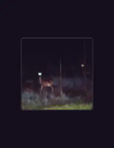 Ascolta Delta T, guarda video musicali, leggi la biografia, vedi le date del tour & altro!