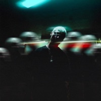 Artichoke - Single - Animation