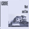 Wait and See - Single