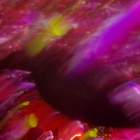 love is love - Single - Koede