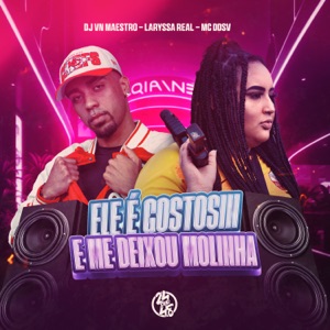 Ele É Gostosin e Me Deixou Molinha (feat. Mc DDSV)