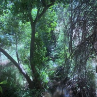 Way 2 Geeked - Single - seanybo