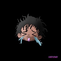 Hokage 305 - Single - Cheese Wiz