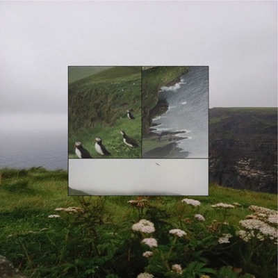 В целях самообороны