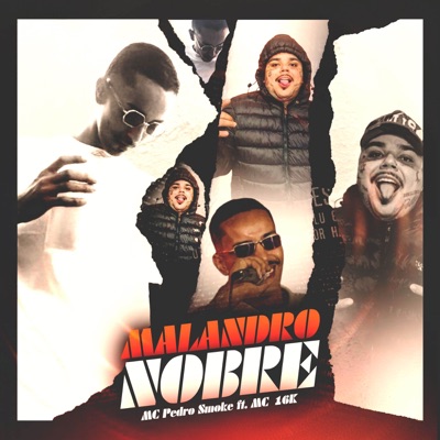 MALANDRO NOBRE (with 2zn Records) - Single