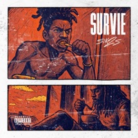 Survie - Single - Sik2s