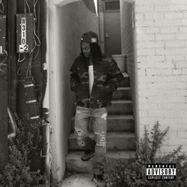 Have U Ever Gary Junior