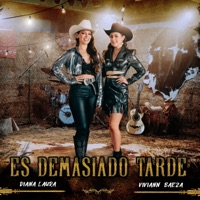 Es Demasiado Tarde - Single - Viviann Baeza & Diana Laura
