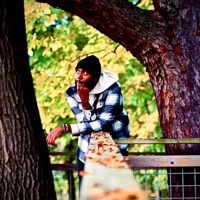 The Persistence of Forethought (Remastered) - Single - Prox Centauri