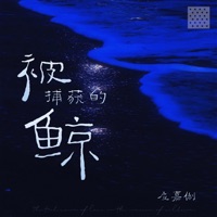 被捕获的鲸 - Single - 应嘉俐
