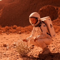 Сейчас - Single - Langria