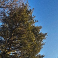 hold your breath - Single - matebusi