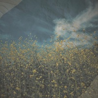 Margo - Single - Chuck Mullen