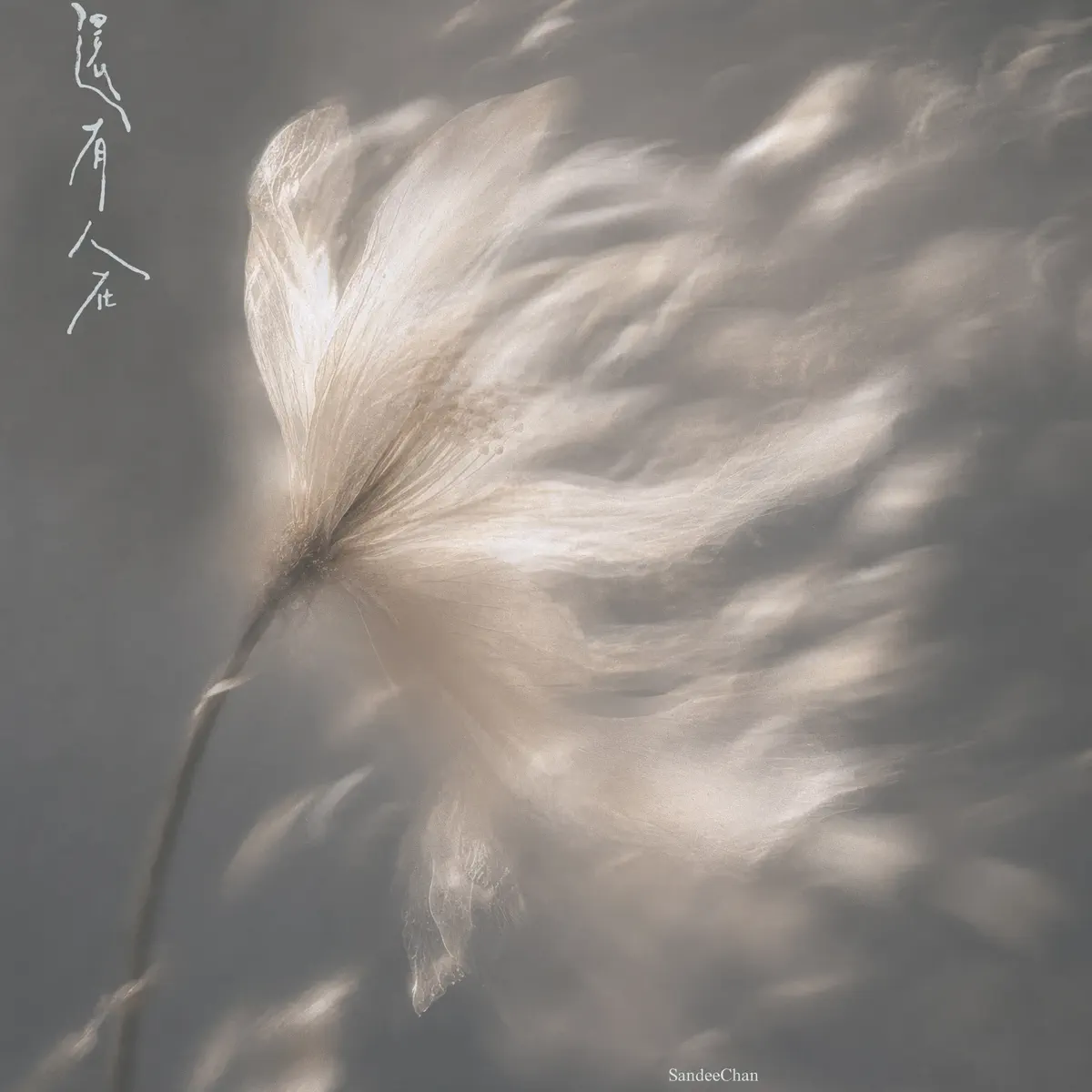 陳珊妮 - 還有人在 - Single (2026) [iTunes Plus AAC M4A]-新房子