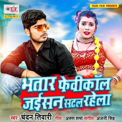 Bhatar Fevicol Jaisan Satal Rahela - Single