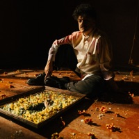 Precisa Tiempo - Single - Alex Ferreira