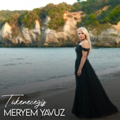 Tükeneceğiz artwork