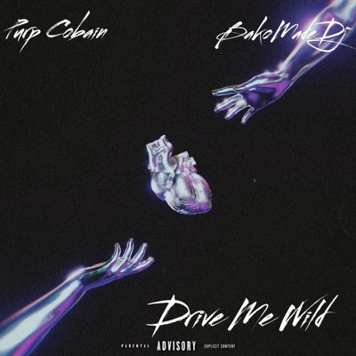 Drive Me Wild (feat. BakomadeDj) - Single