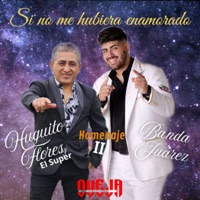 Si no me hubiera enamorado (Homenaje II) - Single - Huguito Flores el Super & Banda Juarez