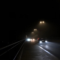 D Rose (feat. EIAS) - Single - Pekassi