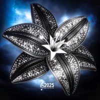 Wallflower - Single - Joeyy