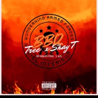 BBQ (feat. Shay T) - Single - Tree