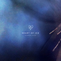 Heart of Ice - Single - Narrow Skies