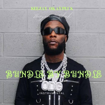 The Sound Canvas by 475 - [INSTRUMENTAL] Burna Boy - Bundle By Bundle