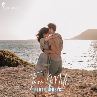 Soul Music - Tum Mile Flute Music