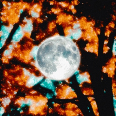 REACH - Single