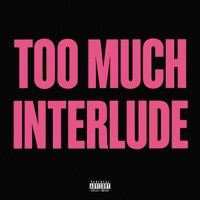 TOO MUCH INTERLUDE - Single - Brandon Stone