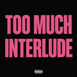 TOO MUCH INTERLUDE Brandon Stone