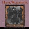 Lone Wolf - Hank Williams, Jr. lyrics