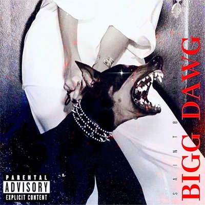 BIGG DAWG - Single