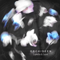 Orchideen - Single - Lupid & Lophelia