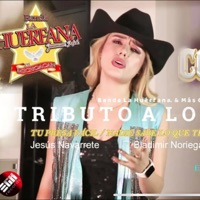 TRIBUTO A LOS YONIC'S (feat. Mas Corazon) - Single - Banda la huerfana