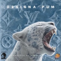 Designa Pum - Single - Big Shenn