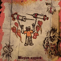 WIĘZIEŃ UŻYWEK - Single - RUDSON