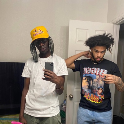 Public housing (feat. Tirc) - Single